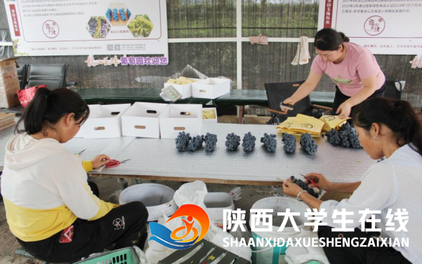 1757954527149350.png image.png